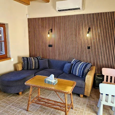 Colorful Life By Stn 鲍洛托努德沃里