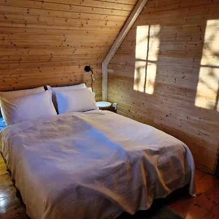 Colorful Life By Stn *