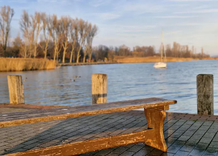 Colorful Life By Stn