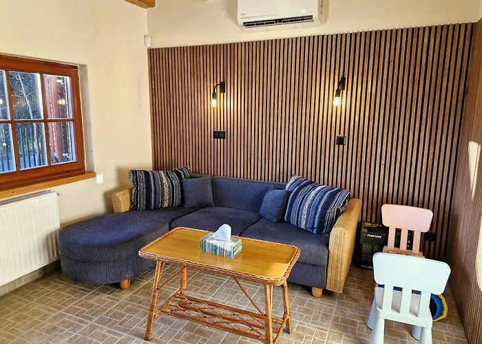 Colorful Life By Stn 鲍洛托努德沃里