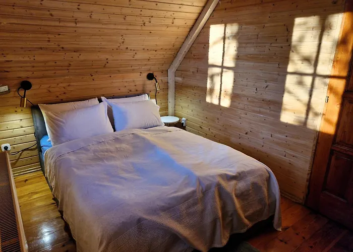 Colorful Life By Stn *