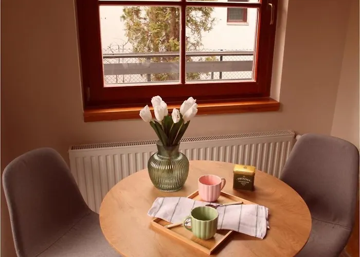 Colorful Life By Stn 鲍洛托努德沃里